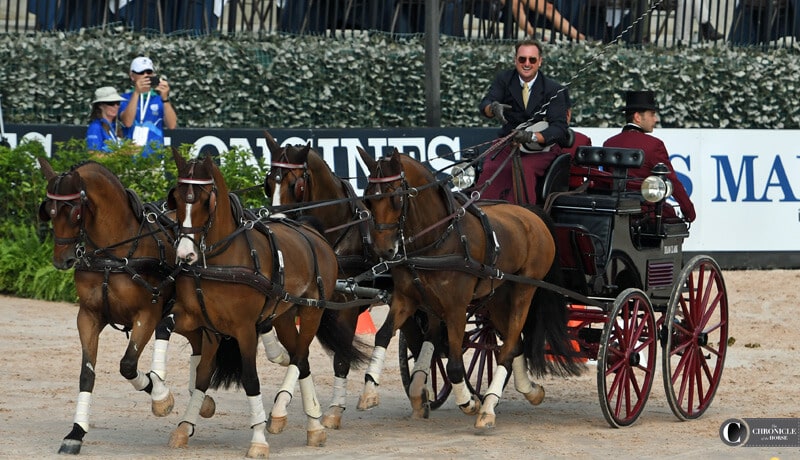 Ocala based Chester Weber Conquers the Cones, PC: Ann Glavan, Chronicle of the Horse