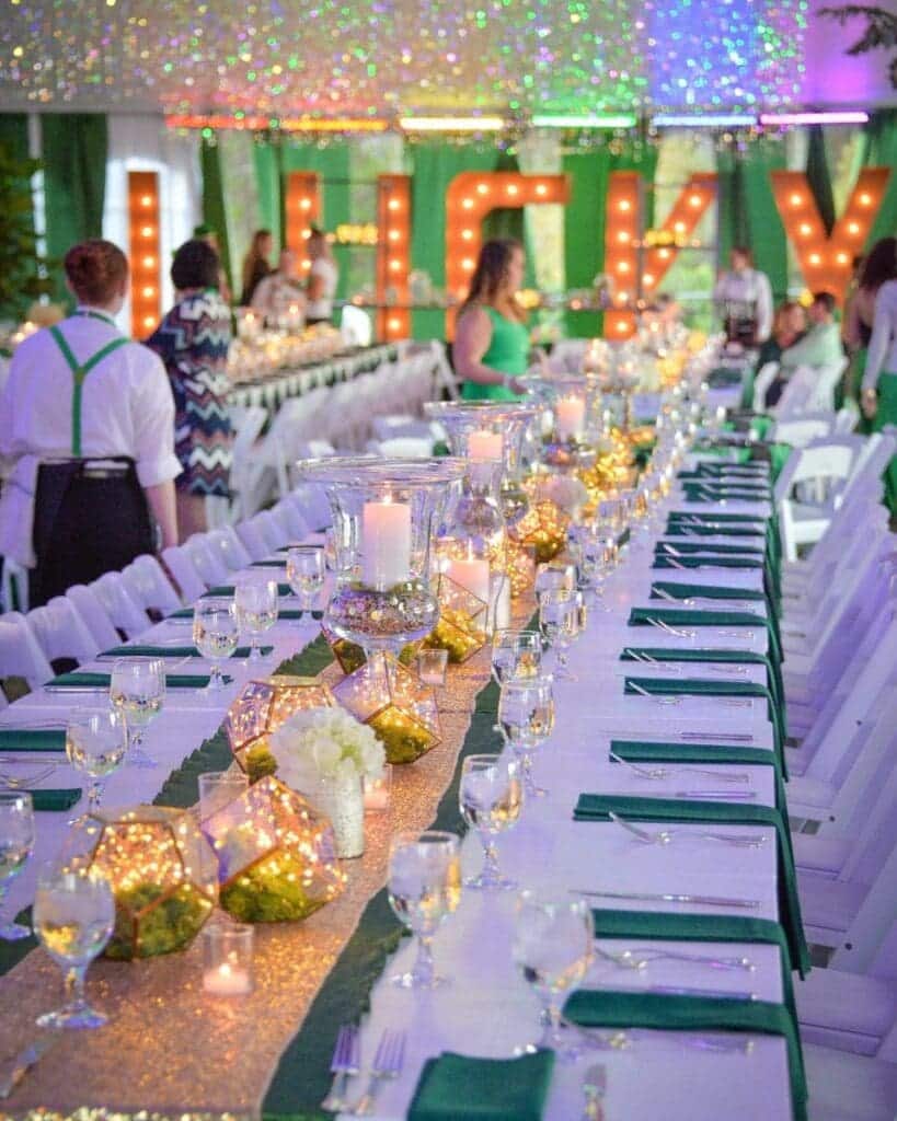 PartyPicErinGilmore-960x1200