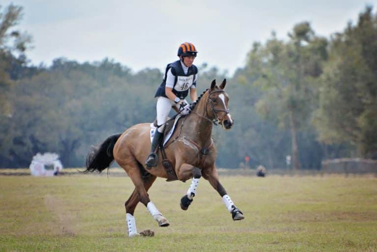 Liz and Deniro Z Galloping to their 2017 Win at the Florida Horse Park! PC: Jenni Autry