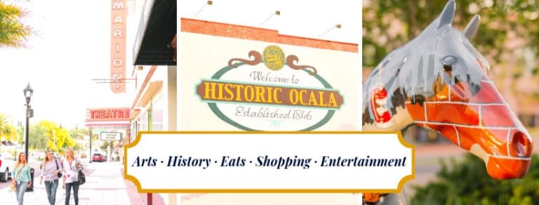 HistoricOcalaBanner-768x292 HistoricOcalaBanner-768x292