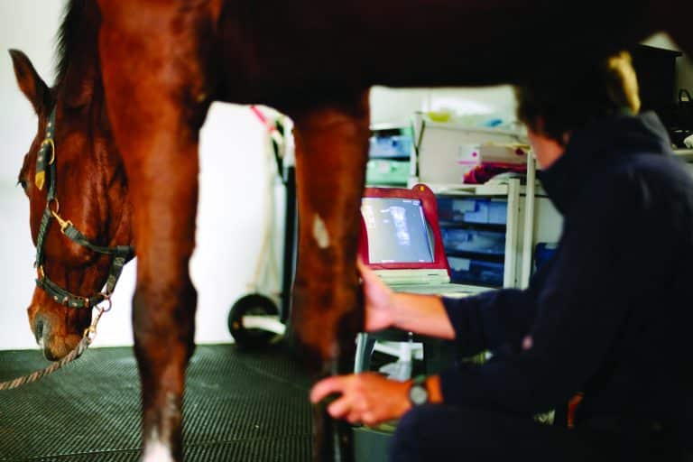 GettyImages-521801713-768x512 A veterinary surgeon undertakes an ultrasonic examination of a horse’s fetlock. Coombefield Veterinary Hospital, Summerleaze Farm, Axminster, Devon.