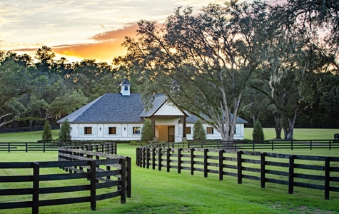 Search Ocala Farms for Sale