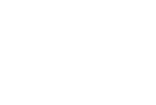 Ocala Horse Properties