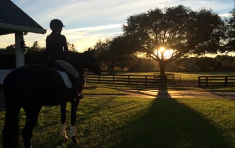 why-we-love-ocala-homepage-bucket-475x300