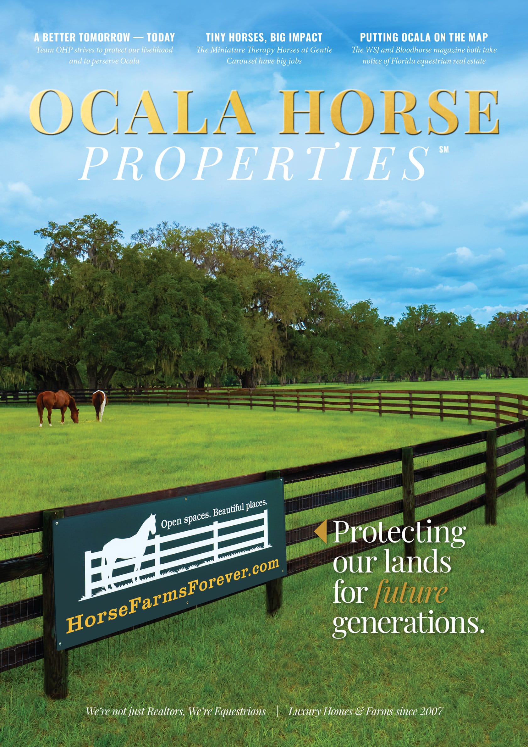 I Made A Fortune On Craigslist Ocala!