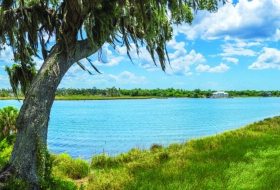 lake-weir-ocala-florida
