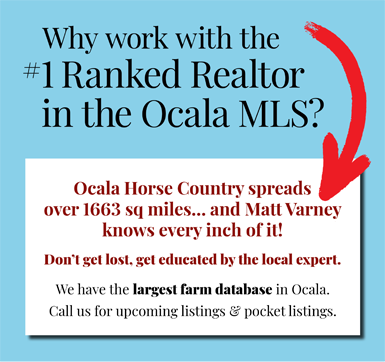Why work with the No 1 ranked realtor in the Ocala MLS