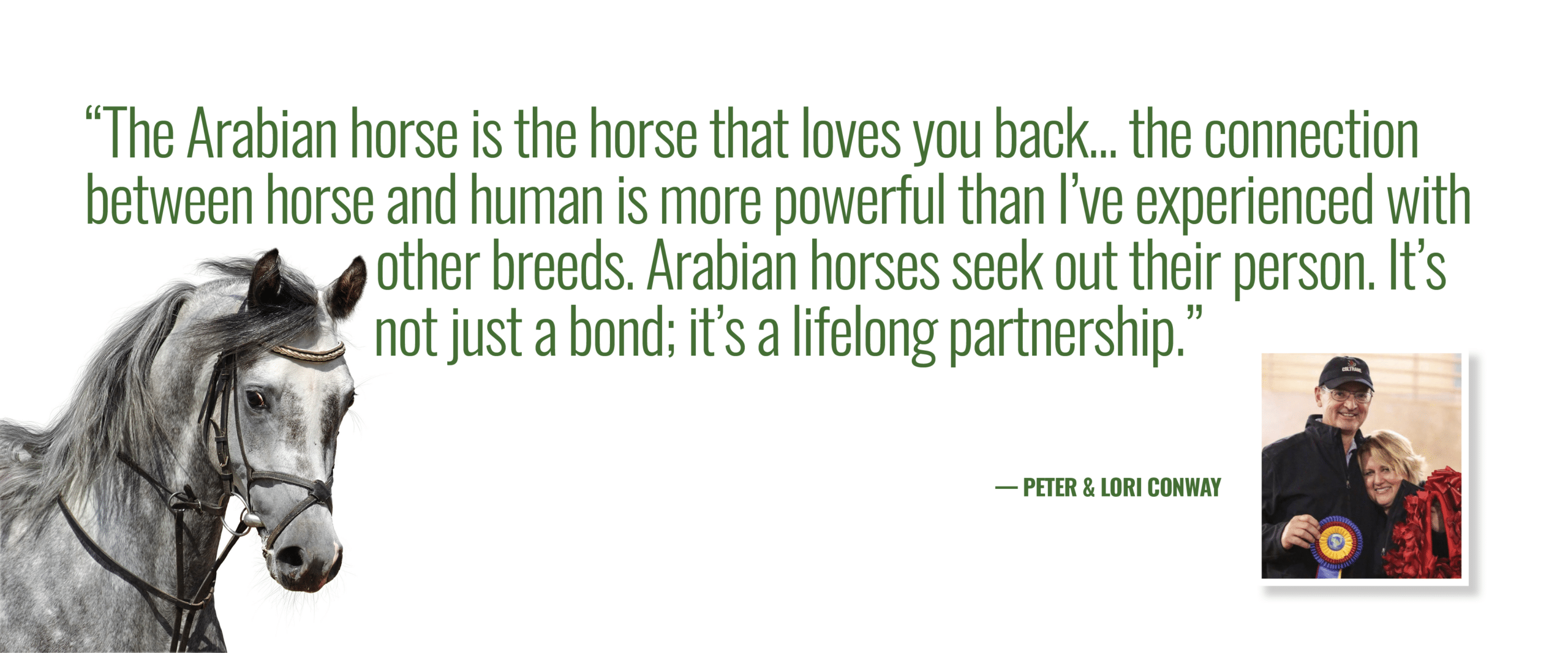 Arabian Horse Quote With picture of an Arabian horse on the left and a photo of Peter & Lori Conway on the right.