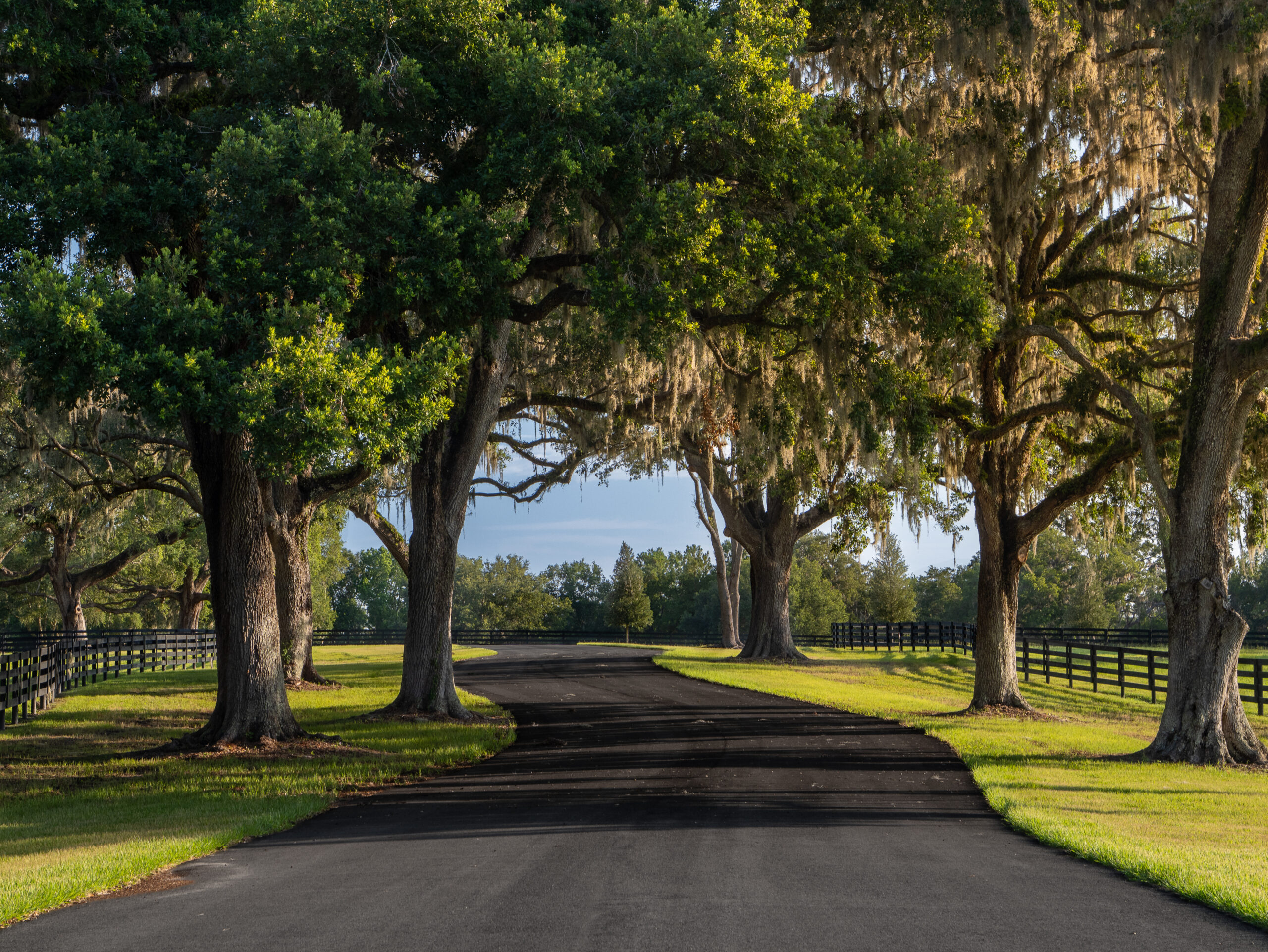 SilverOak_11_print