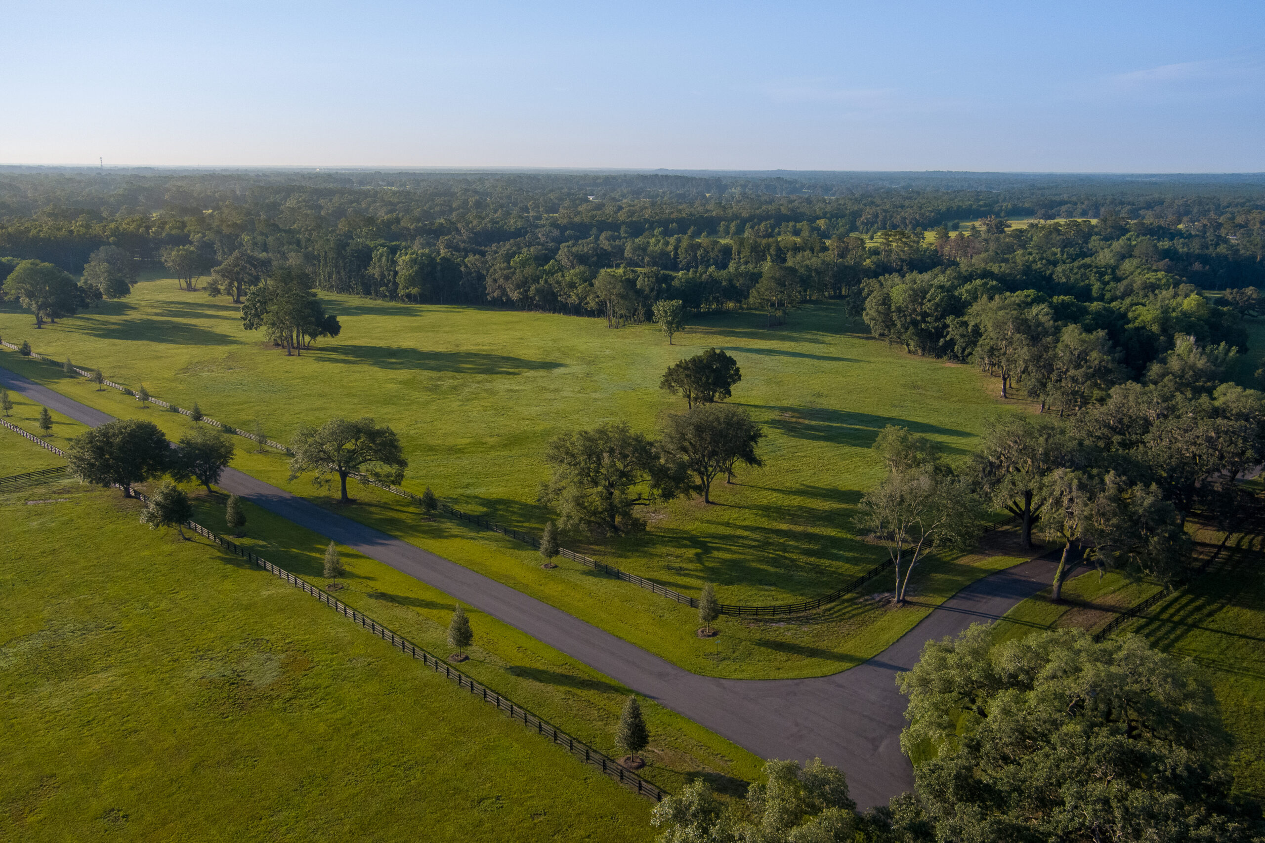 SilverOak_24_print
