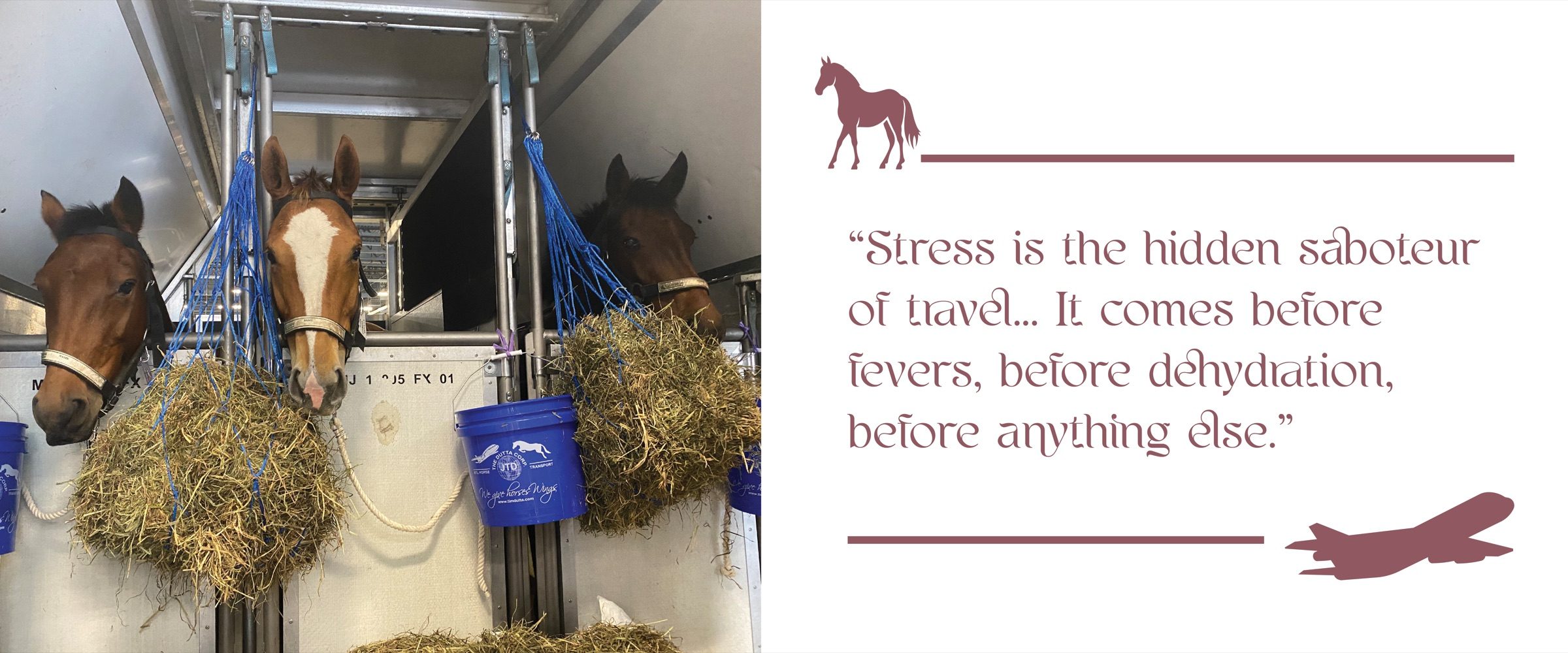Stress is the hidden saboteur of travel
