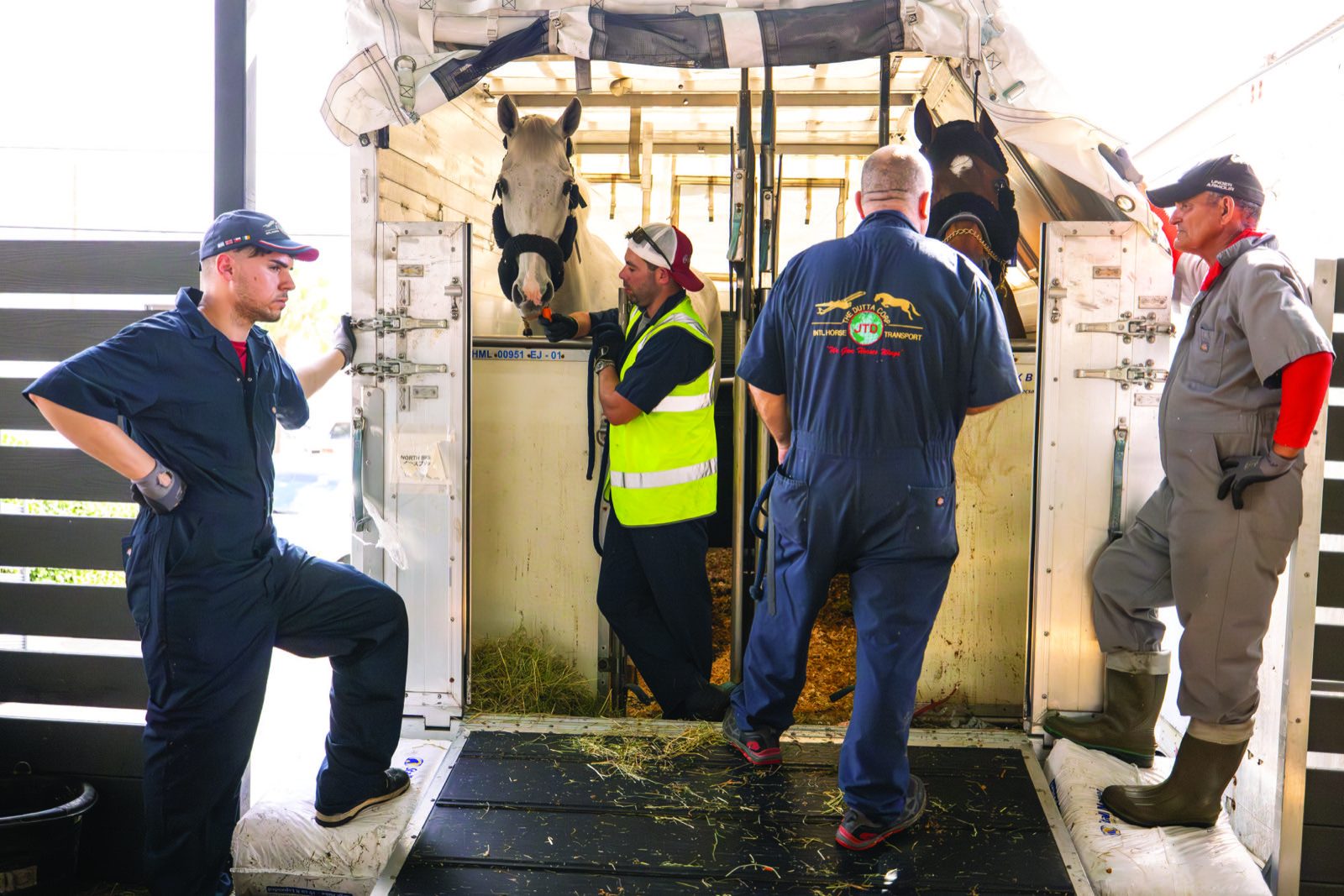 Dutta Corp handlers caring for horses in air transport stalls