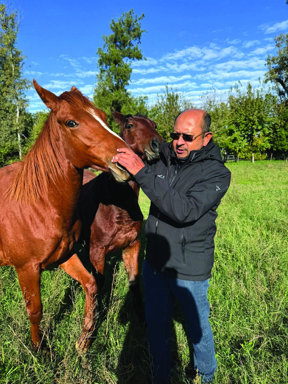 Tim Dutta with horses in a pasture
