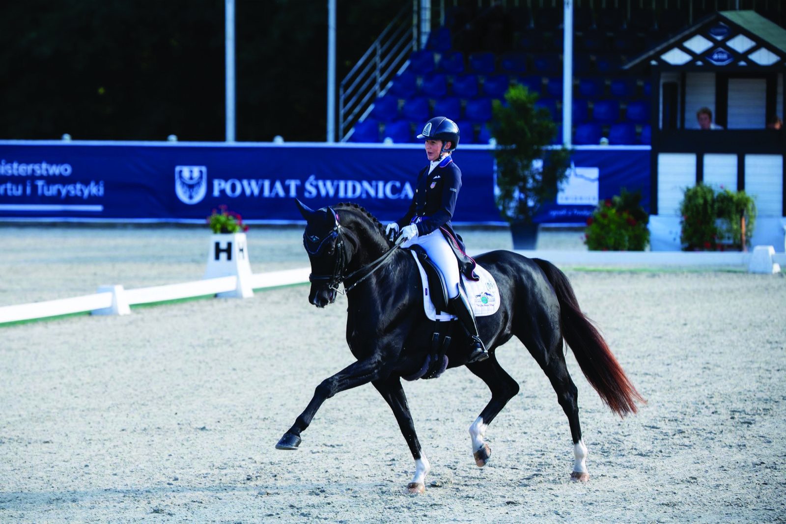 Dressage rider competing on a black horse