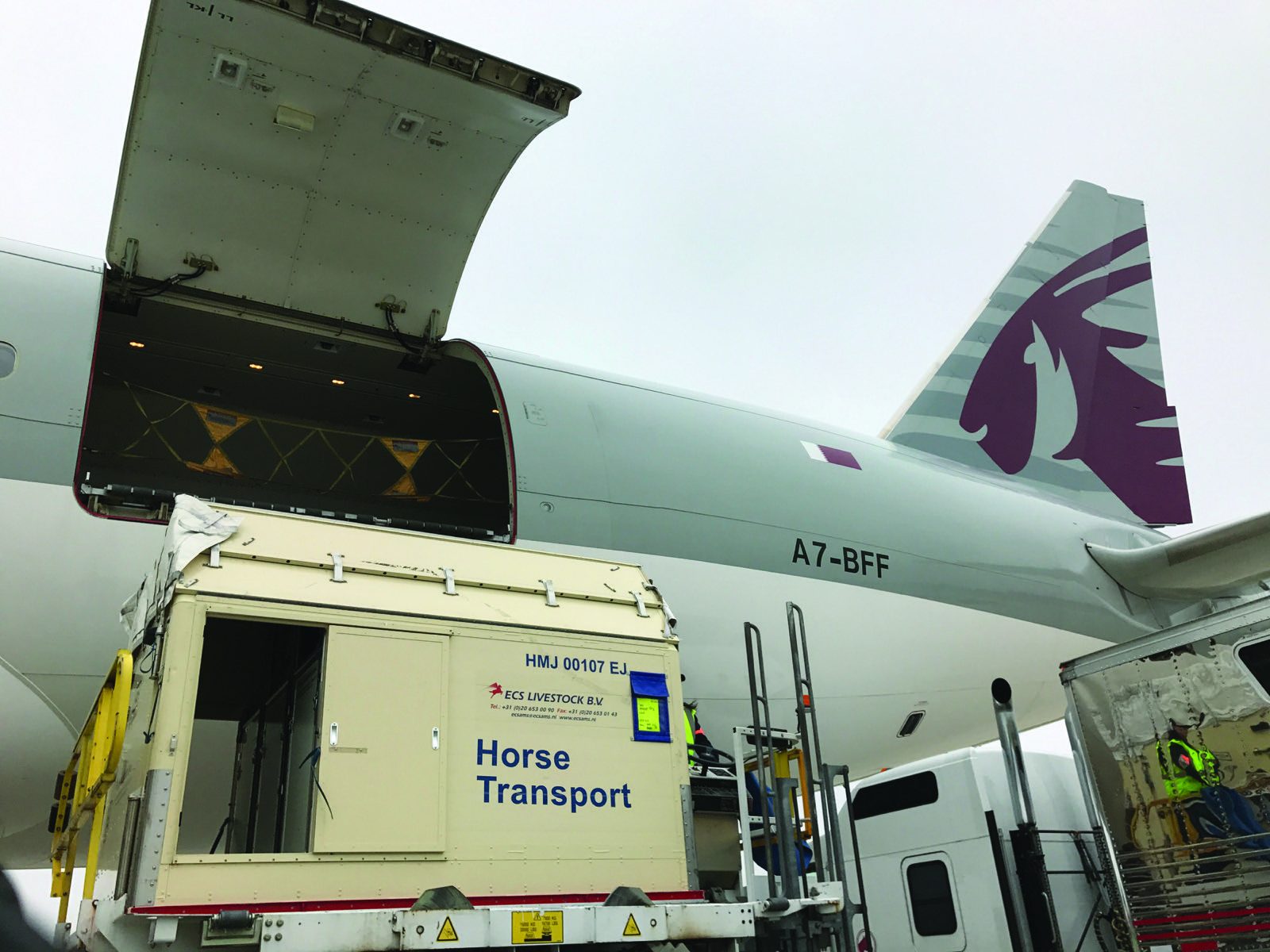 Horse transport container beside a cargo aircraft